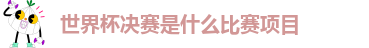 世界杯决赛是什么比赛项目
